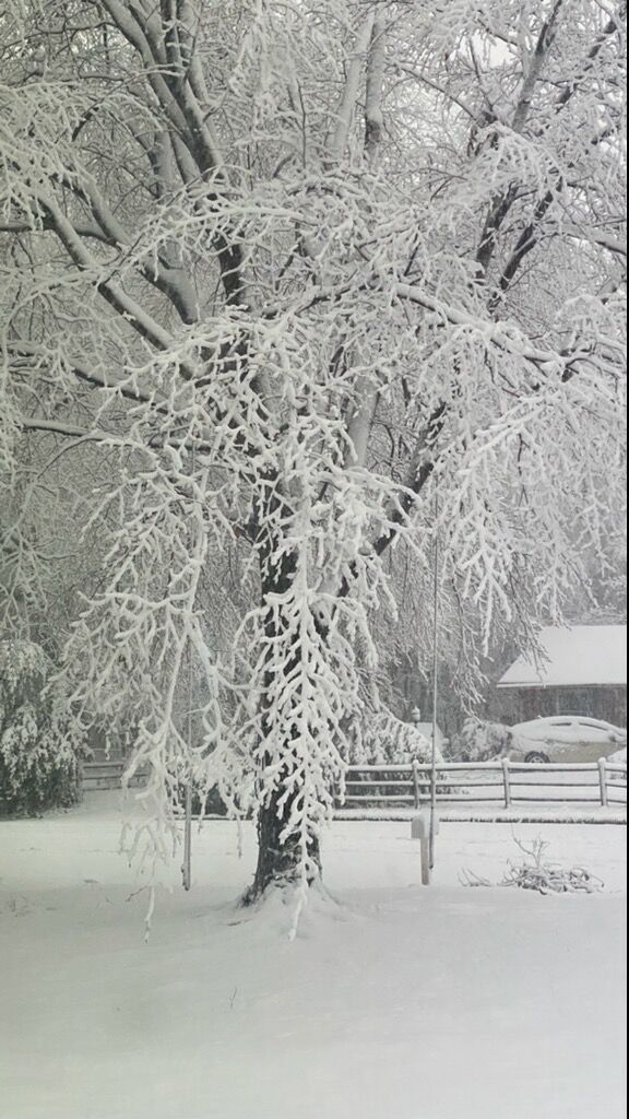 Winter Storm 1-3-22 p2
